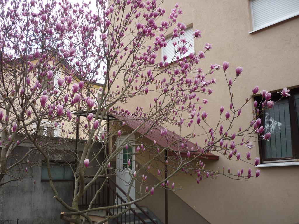 Guest House Ok Medjugorje Exterior photo